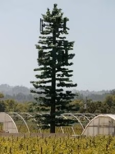Which Stealth Cell Tower is more Stealthy