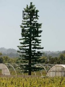 Which Stealth Cell Tower is more Stealthy