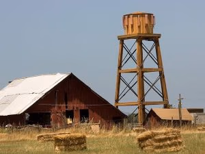 Which Stealth Cell Tower is more Stealthy