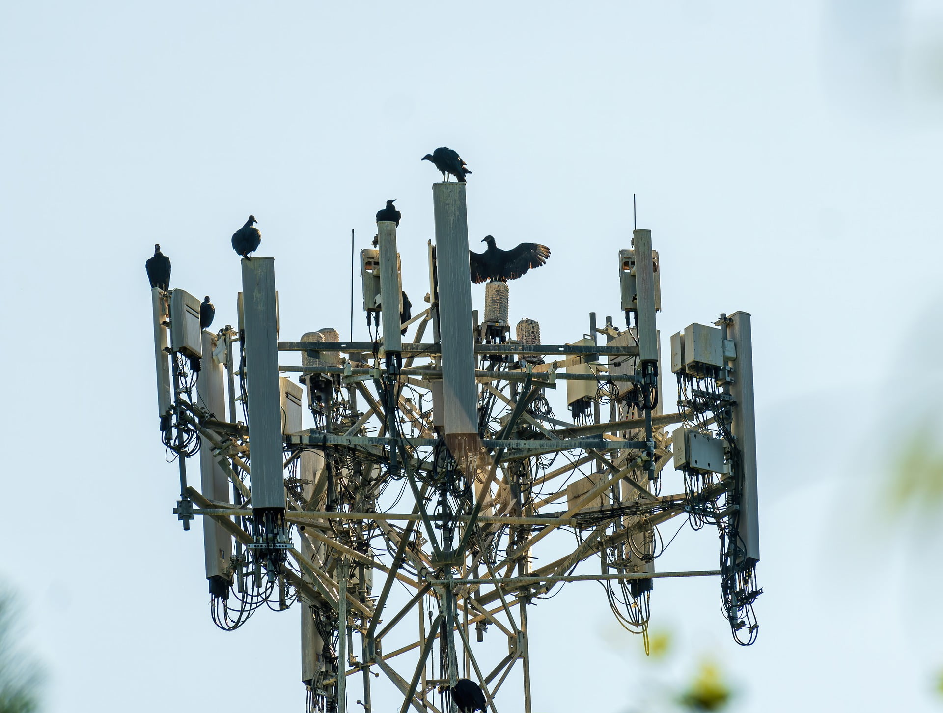 cell tower equipment