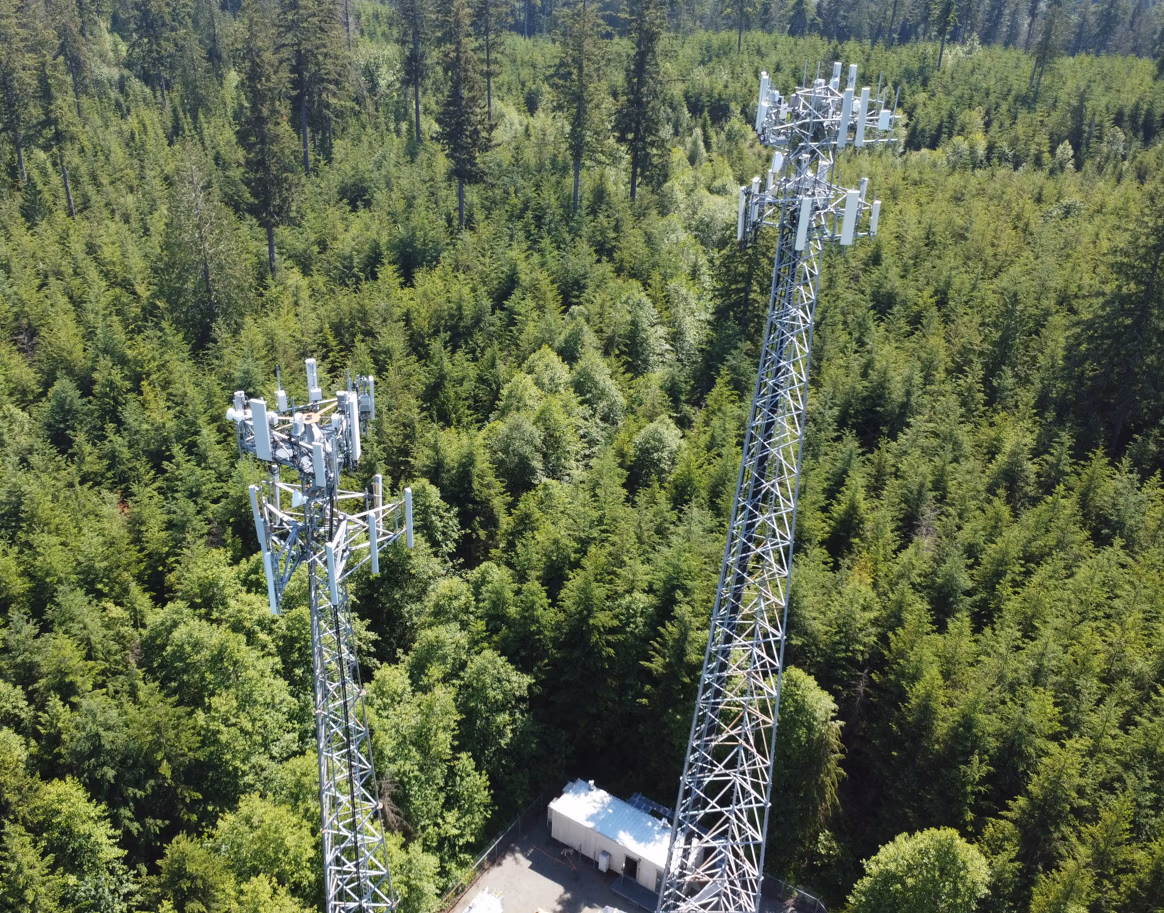 Two Towers on Forest Land